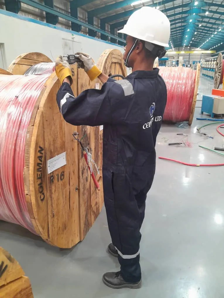 A picture of Cepticon Staff working